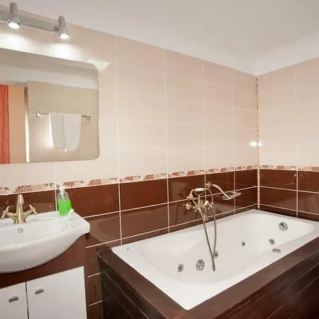 Guest house Casa Tudor