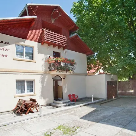 Guest house Casa Tudor *