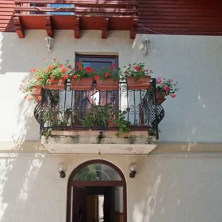 Guest house Casa Tudor *